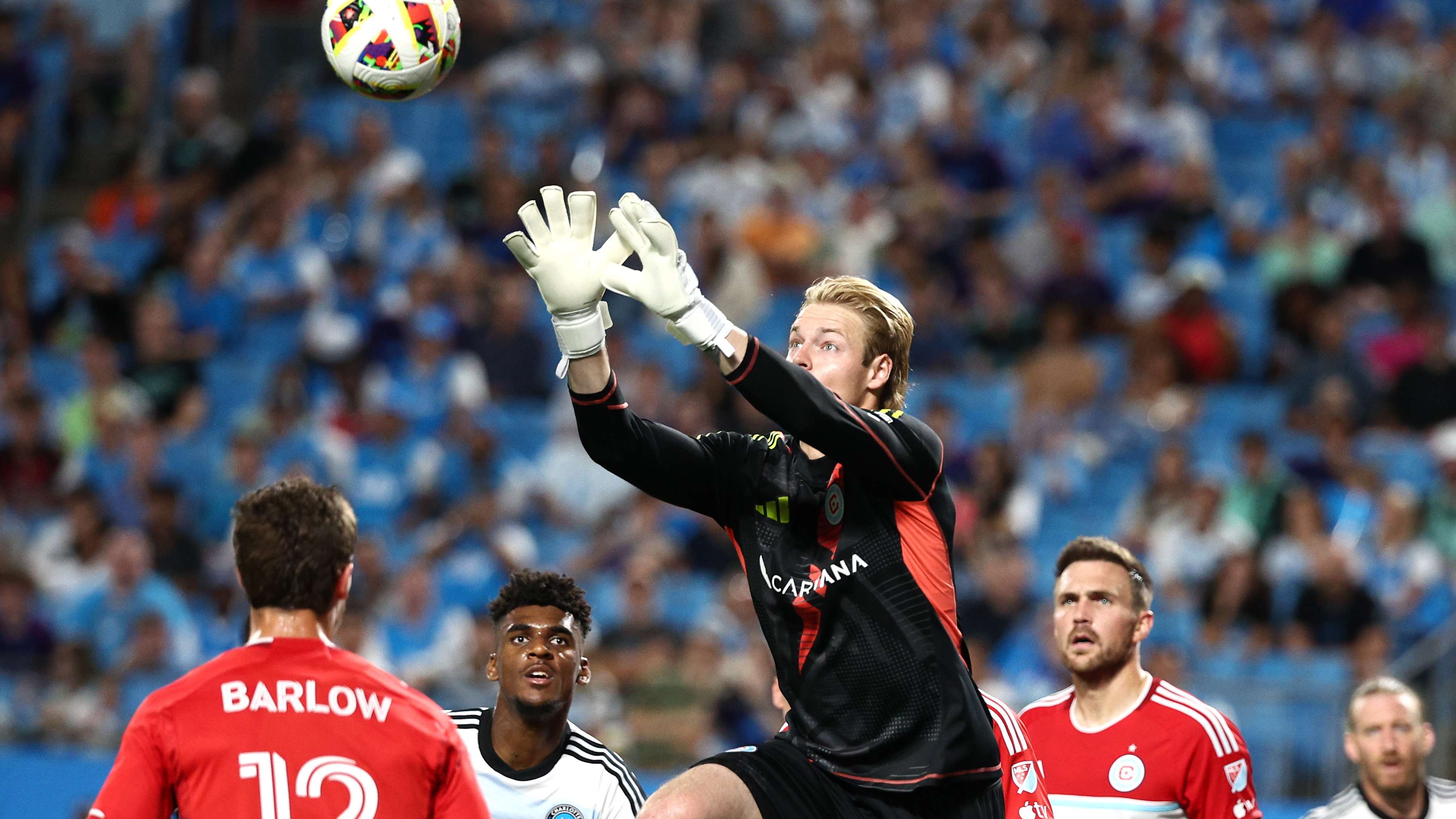 议的标签 议的标签